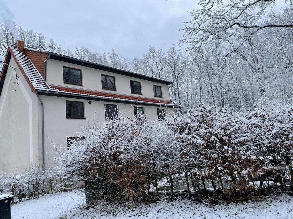 Apartment Am Hochwald Reinhardtsdorf-Schona Eksteriør bilde